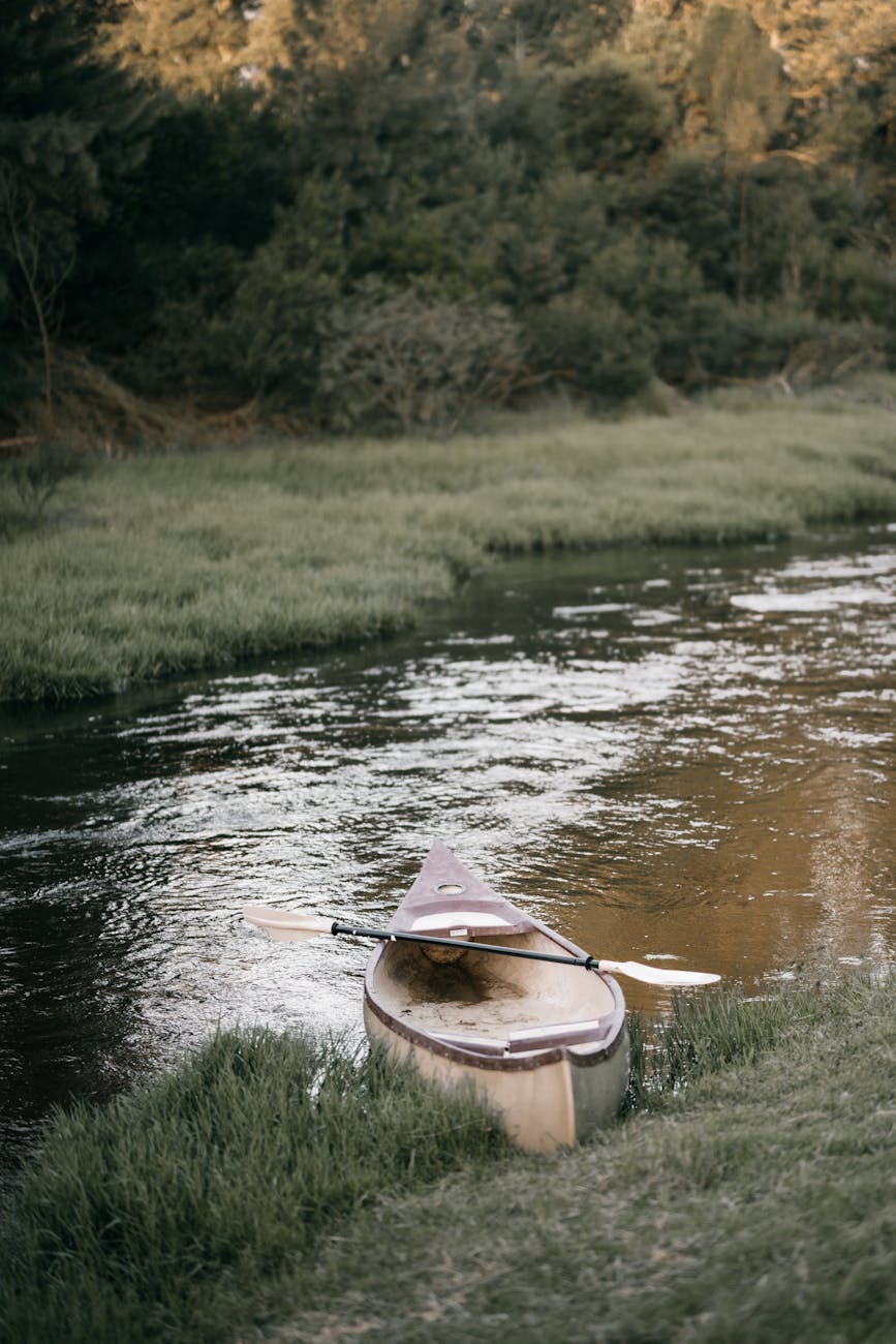 a canoe on a river bank